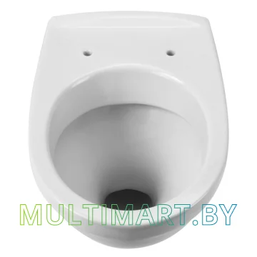 Унитаз Santek Бореаль (1.WH30.1.977) картинка 5